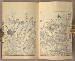 Ehon Noyama Gusa 絵本野山草 [Illustrated Book of Mountain and Field Plants]