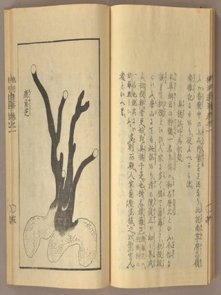 TODO IHITSU 桃洞遺筆