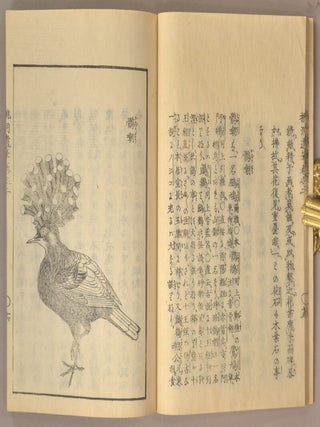 TODO IHITSU 桃洞遺筆