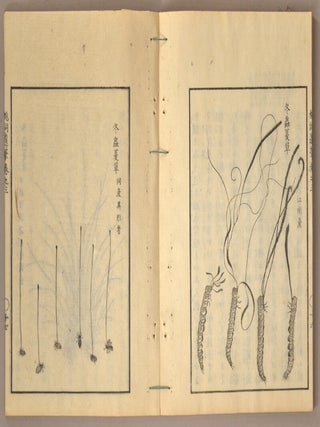 TODO IHITSU 桃洞遺筆