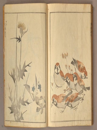 KO^RIN GASHIKI Zen