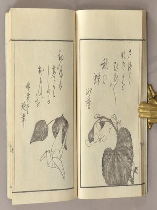 SONO HASAE その葉さへ.